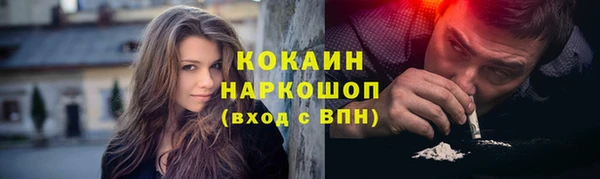кокс Богородицк