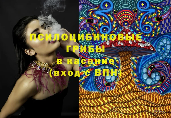 apvp Богородск