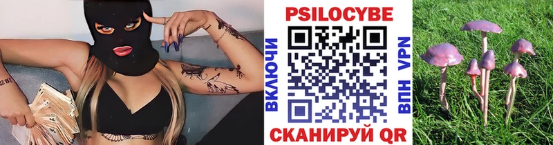 Псилоцибиновые грибы мицелий  Окуловка 